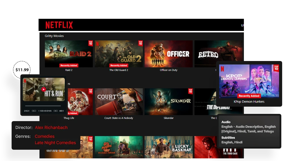 BANNER Netflix Dataset